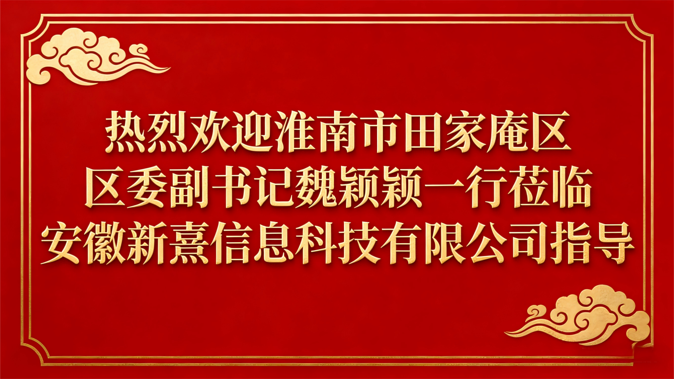 聚力新质生产力，共筑主城新动能！田家庵区委副书记魏颖颖一行莅临安徽新熹调研指导